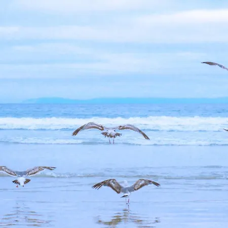 Casa de Férias De Blenck 14 Met Uitzicht! - Park De Blenck Aan Zee