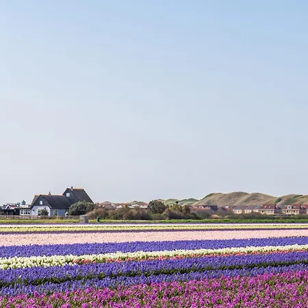 De Blenck 14 Met Uitzicht! - Park De Blenck Aan Zee Casa de Férias